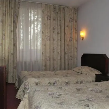 Hotel Bor 3*